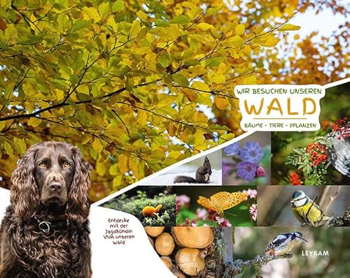 Wir besuchen unseren Wald Bäume Tiere Pflanzen