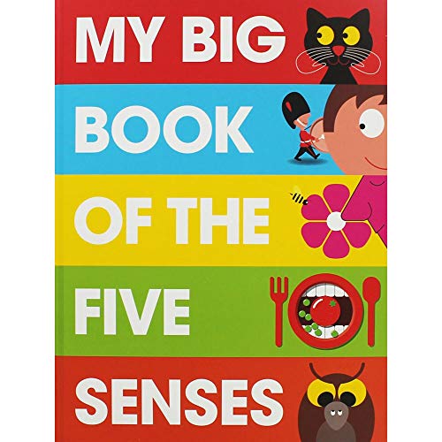 My Big Book of the Five Senses von imusti