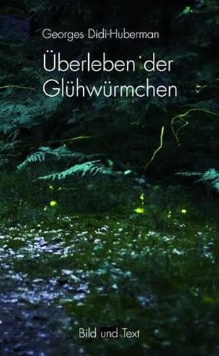 Überleben der Glühwürmchen: Eine Politik des Nachlebens (Bild und Text)