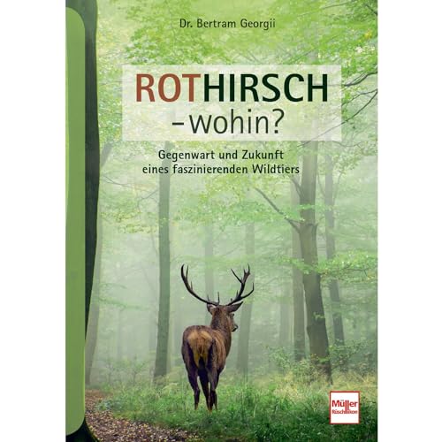 Rothirsch - wohin?: Gegenwart und Zukunft eines faszinierenden Wildtiers von Müller Rüschlikon