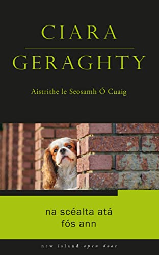 Na Scéalta Atá Fós Ann (Open Door As Gaeilge) von New Island Books
