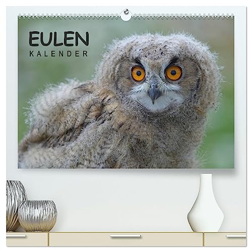 Eulen-Kalender (hochwertiger Premium Wandkalender 2025 DIN A2 quer), Kunstdruck in Hochglanz von CALVENDO