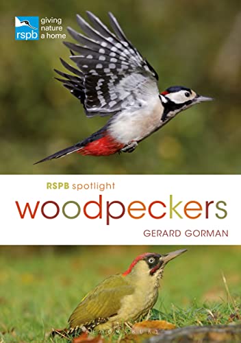 RSPB Spotlight Woodpeckers von Bloomsbury