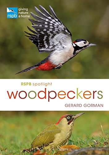 RSPB Spotlight Woodpeckers von Bloomsbury Wildlife