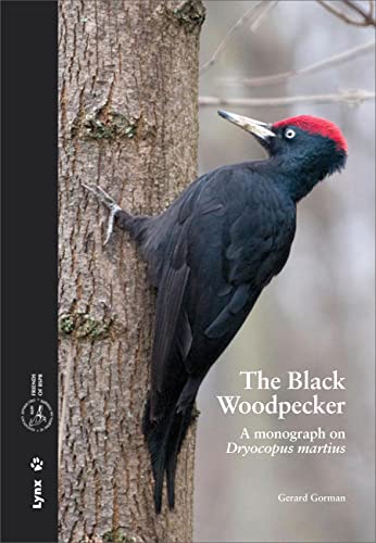 The Black Woodpecker : a monograph on Dryocopus martius von Lynx Edicions