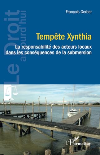 Tempête Xynthia: La responsabilité des acteurs locaux dans les conséquences de la submersion von Editions L'Harmattan