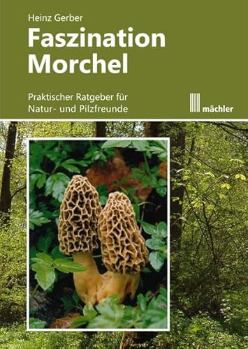 Faszination Morchel: Praktischer Ratgeber für Pilz- und Naturfreunde