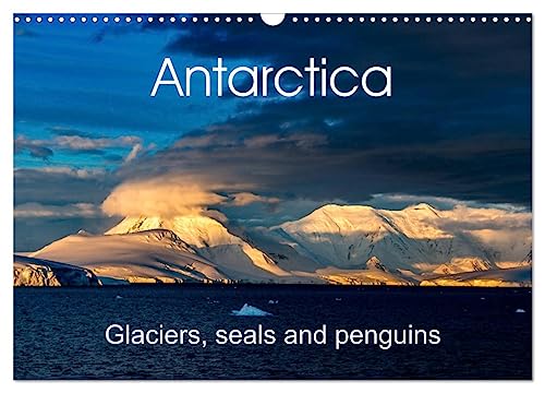 Antarctica Glaciers, seals and penguins (Wall Calendar 2025 DIN A3 landscape), CALVENDO 12 Month Wall Calendar: Beautiful images of the last untouched paradise on earth von Calvendo