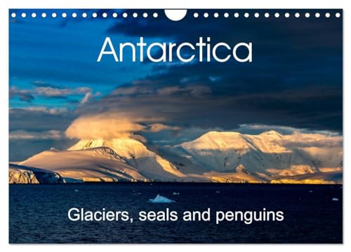 Antarctica Glaciers, seals and penguins (Wall Calendar 2025 DIN A4 landscape), CALVENDO 12 Month Wall Calendar: Beautiful images of the last untouched paradise on earth von Calvendo