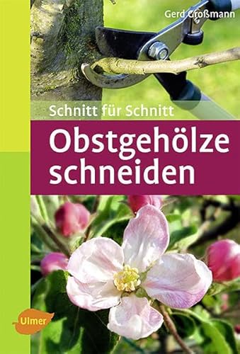 Obstgehölze schneiden: Schnitt für Schnitt (Taschenatlanten) von Ulmer Eugen Verlag