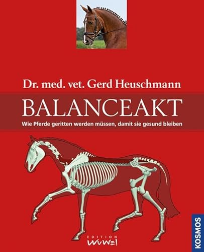 Balanceakt: Wie Pferde geritten werden müssen, damit sie gesund bleiben