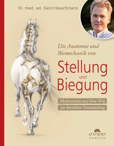 Die Anatomie und Biomechanik von Stellung und Biegung: Meilensteine auf dem Weg zur korrekten Versammlung