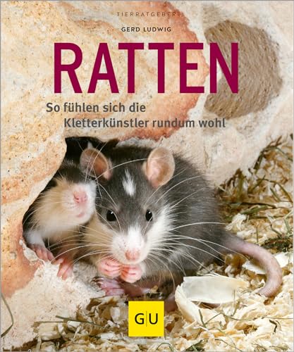 Ratten als Heimtiere, glücklich & gesund gelb 12 x 3,5 cm: So fühlen sich die Kletterkünstler rundum wohl (GU Kleintiere)