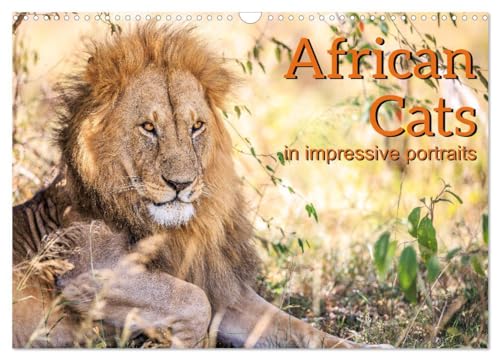 African Cats in impressive portraits (Wall Calendar 2025 DIN A3 landscape), CALVENDO 12 Month Wall Calendar: Impressive high-resolution portraits of Africa's fascinating big cats von Calvendo