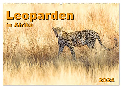 Leoparden in Afrika (Wandkalender 2024 DIN A2 quer), CALVENDO Monatskalender