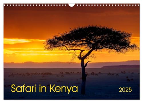 Safari in Kenya (Wall Calendar 2025 DIN A3 landscape), CALVENDO 12 Month Wall Calendar: Landscapes and wildlife of southern Kenya von Calvendo