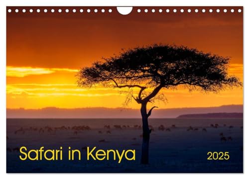 Safari in Kenya (Wall Calendar 2025 DIN A4 landscape), CALVENDO 12 Month Wall Calendar: Landscapes and wildlife of southern Kenya von Calvendo