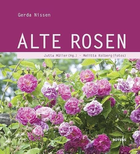 Alte Rosen von Boyens Buchverlag