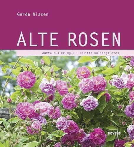 Alte Rosen von Boyens