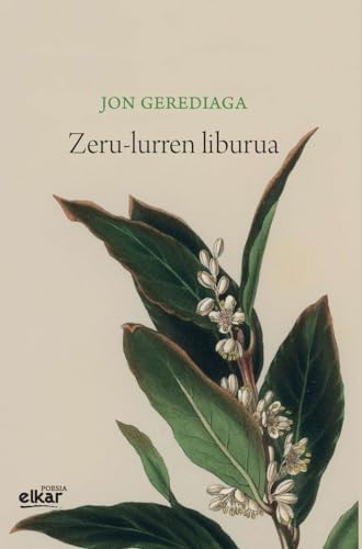 Zeru-lurren liburua (Irun hiria poesia) von Elkar