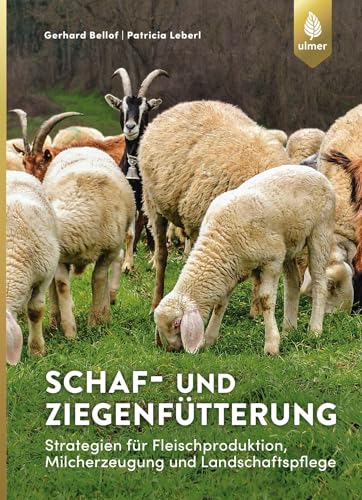 Schaf- und Ziegenfütterung: Strategien für Landschaftspflege, Fleisch- und Milcherzeugung von Ulmer Eugen Verlag