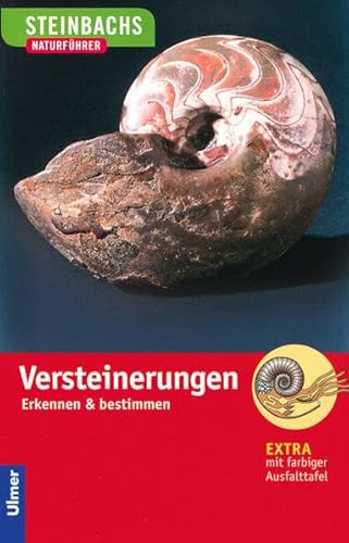 Steinbachs Naturführer Versteinerungen: Erkennen und bestimmen
