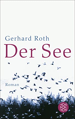 Der See: Roman von Fischer Taschenbuch