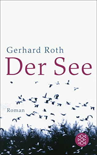 Der See: Roman