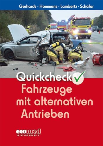 Quickcheck Fahrzeuge mit alternativen Antrieben (Quickchecks)