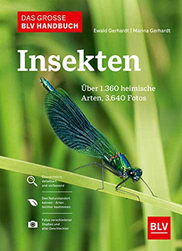 Das große BLV Handbuch Insekten: Über 1360 heimische Arten, 3640 Fotos (BLV Insekten) Das große BLV Handbuch Insekten: Über 1360 heimische Arten, 3640 Fotos (BLV Insekten)