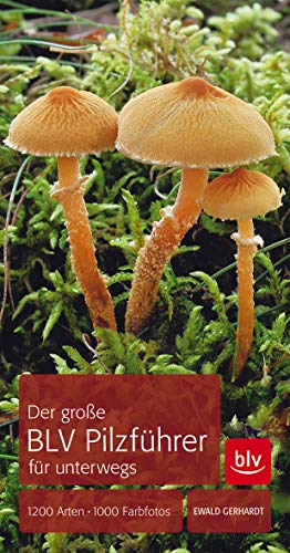 Der große BLV Pilzführer für unterwegs: 1200 Arten 1000 Farbfotos