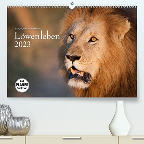 Emotionale Momente: Löwenleben (Premium, hochwertiger DIN A2 Wandkalender 2023, Kunstdruck in Hochglanz): Aus dem Leben der faszinierenden Löwen ... 14 Seiten ) (CALVENDO Tiere) von CALVENDO