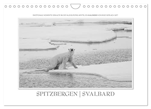 Emotionale Momente: Spitzbergen Svalbard/CH-Version (Wandkalender 2024 DIN A4 quer), CALVENDO Monatskalender von CALVENDO