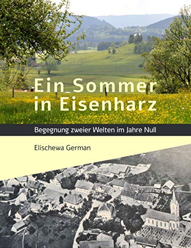 Ein Sommer in Eisenharz: Begegnung zweier Welten im Jahre Null von Books on Demand