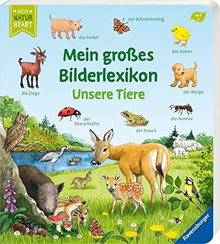 Mein großes Bilderlexikon: Unsere Tiere (Mein Naturstart)