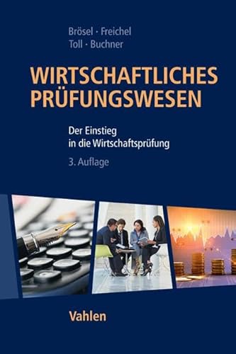 Wirtschaftliches Prüfungswesen: Der Einstieg in die Wirtschaftsprüfung