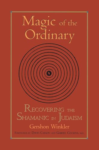 Magic of the Ordinary: Recovering the Shamanic in Judaism von North Atlantic Books