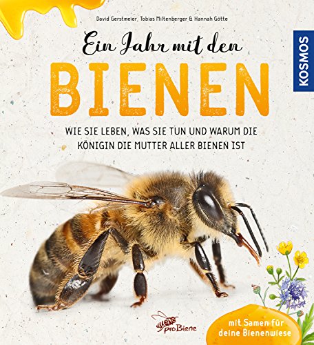 Ein Jahr mit den Bienen: Wie sie leben, was sie tun und warum die Königin die Mutter aller Bienen ist.