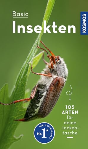 BASIC Insekten: 105 Arten einfach und sicher erkennen - In drei Schritten zur richtigen Art