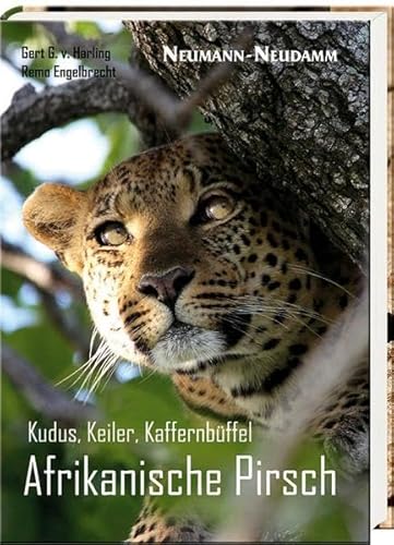 Kudus, Keiler, Kaffernbüffel: Afrikanische Pirsch