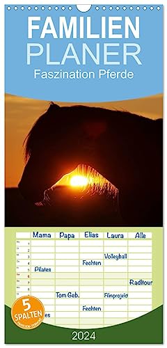 Familienplaner 2024 - Faszination Pferde mit 5 Spalten (Wandkalender, 21 cm x 45 cm) CALVENDO
