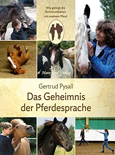 Das Geheimnis der Pferdesprache: Wie gelingt die Kommunikation mit meinem Pferd