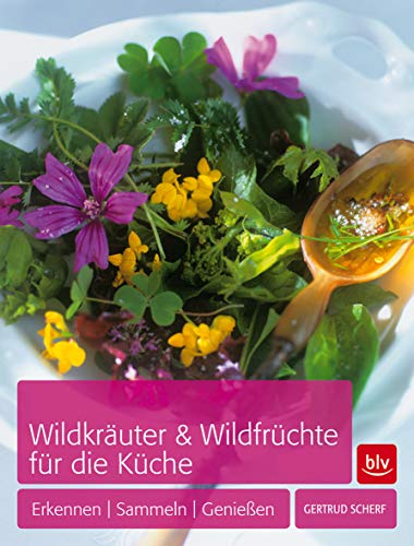 Wildkräuter & Wildfrüchte für die Küche: Erkennen - Sammeln - Genießen