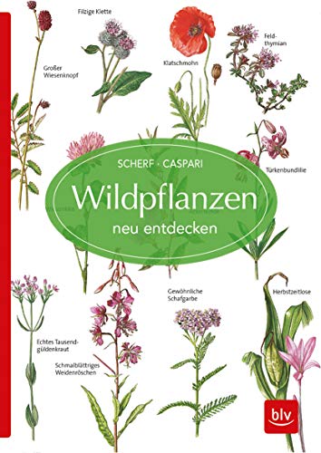 Wildpflanzen neu entdecken (BLV Naturführer) von Gräfe und Unzer