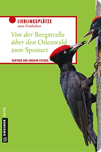 Von der Bergstraße über den Odenwald zum Spessart: Drei Worte - eine Region (Lieblingsplätze im GMEINER-Verlag) von Gmeiner Verlag