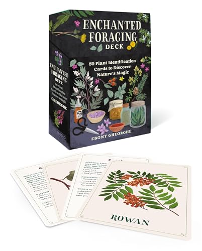 Enchanted Foraging Deck: 50 Plant Identification Cards to Discover Nature's Magic (RP Studio) von RP Studio