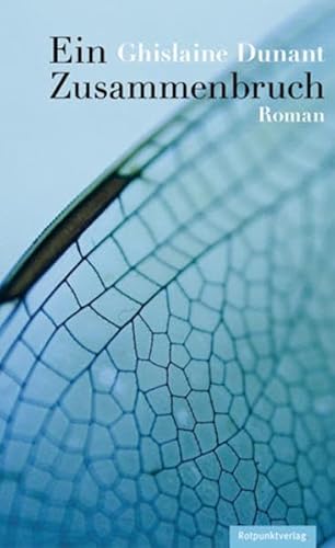 Ein Zusammenbruch: Roman