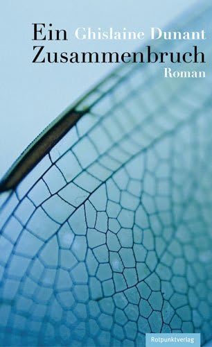 Ein Zusammenbruch: Roman