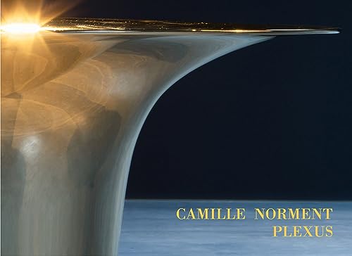 Camille Norment: Plexus von Dia Art Foundation