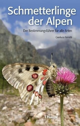 Schmetterlinge der Alpen: Der Bestimmungsführer für alle Arten